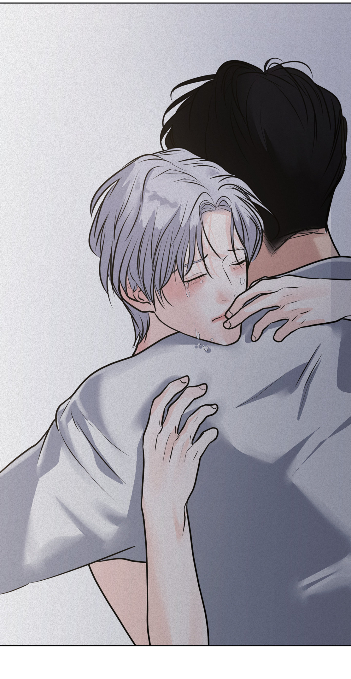 62127096 1179 2277 2023964